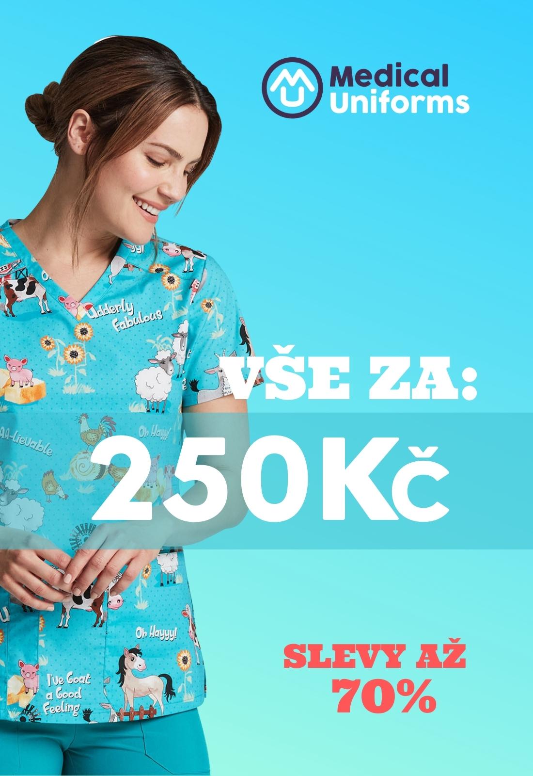 Cz banner 250